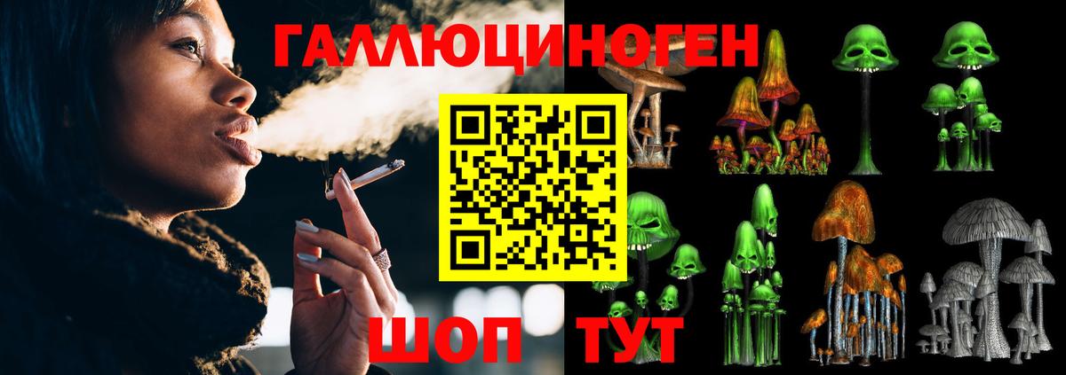 Галлюциногенные грибы GOLDEN TEACHER Липецк